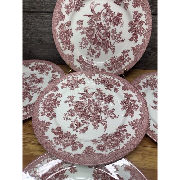 Royal Stafford Asiatic Pheasant Red Fine Earthenware 11” Dinner Plates -5 Pc Set - Picture 7 of 12